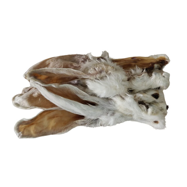 Oreja de conejo con pelo 2