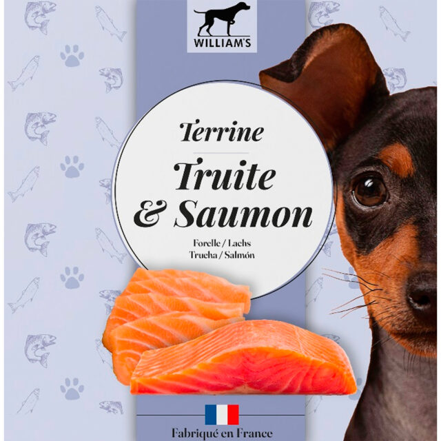 Williams Trucha y Salmón 80GR