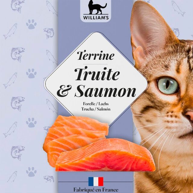 Williams Trucha y Salmón gato 80GR